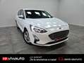Ford Focus 1.5 Ecoblue Trend+ 120 Blanco - thumbnail 5