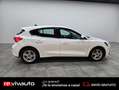 Ford Focus 1.5 Ecoblue Trend+ 120 Blanco - thumbnail 3