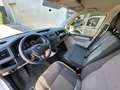 Volkswagen Transporter T6 2.8T L1H1 2.0 TSI 150 BVM6 Faible KM TVA Blanc - thumbnail 9