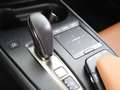 Lexus UX 300e Executive | Mark Levinson | Stoelverwarming en -ve Negro - thumbnail 18