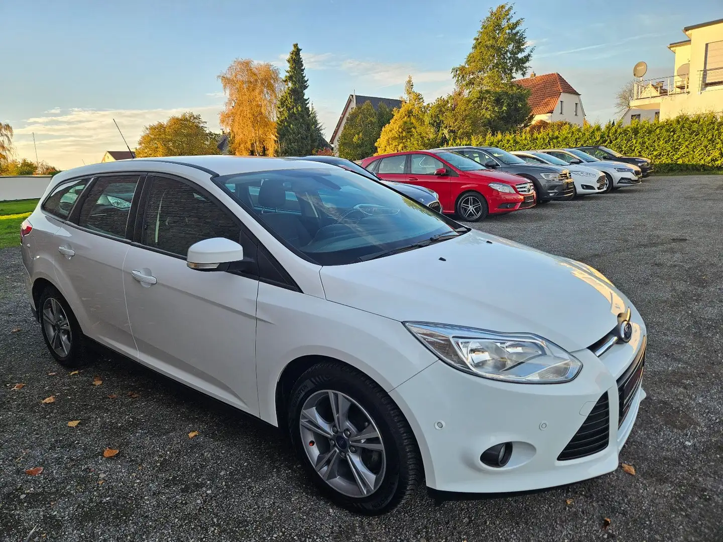 Ford Focus Turnier Champions Edition | TÜV neu Blanc - 2
