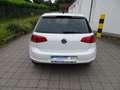 Volkswagen Golf 1.2 TSI 63kW BMT ALLSTAR / 2- Hand /Navi Weiß - thumbnail 3
