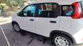 Fiat New Panda - thumbnail 2