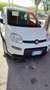 Fiat New Panda - thumbnail 5
