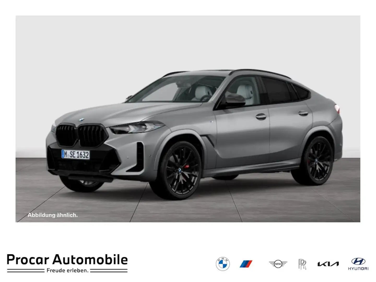 BMW X6 xDrive30d M Sport PANO RFK NAVI LED PDC V+H Grau - 1