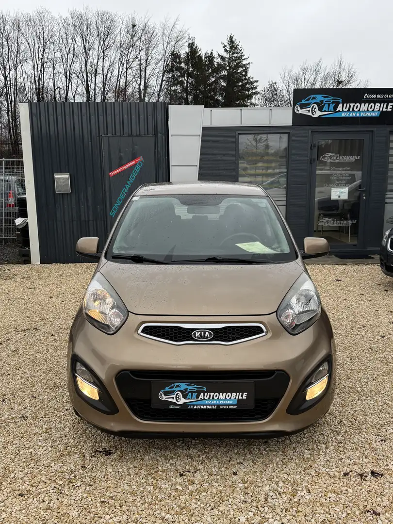Kia Picanto Attract Braun - 1