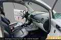 Volkswagen Beetle Beetle 1,9 TDI// PICKERL / SERVICE NEU // LEDER // Grau - thumbnail 19