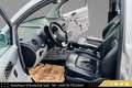 Volkswagen Beetle Beetle 1,9 TDI// PICKERL / SERVICE NEU // LEDER // Grau - thumbnail 15