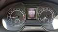 Skoda Octavia Wagon 2.0 tdi cr WRS Manuale Nero - thumbnail 15