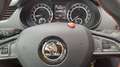 Skoda Octavia Wagon 2.0 tdi cr WRS Manuale Noir - thumbnail 18