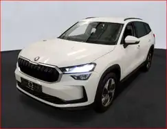 Skoda Kodiaq 2.0 TDI DSG Selection Navi ACC SHZ LM18