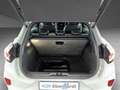 Ford Puma Hybrid ST-Line X Gris - thumbnail 11