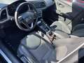 SEAT Leon 1.6 tdi Xcellence 115cv dsg - thumbnail 8