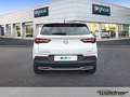 Opel Grandland X 1.2 Start/Stop 120 Jahre Blanc - thumbnail 5