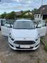 Ford S-Max 2.0 TDCi Bi-Turbo Aut. Titanium - thumbnail 1