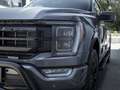 Ford F 150 F-150 LARIAT SuperCrew ShortBed 5,0 L V8 AT 4x4... Gri - thumbnail 9