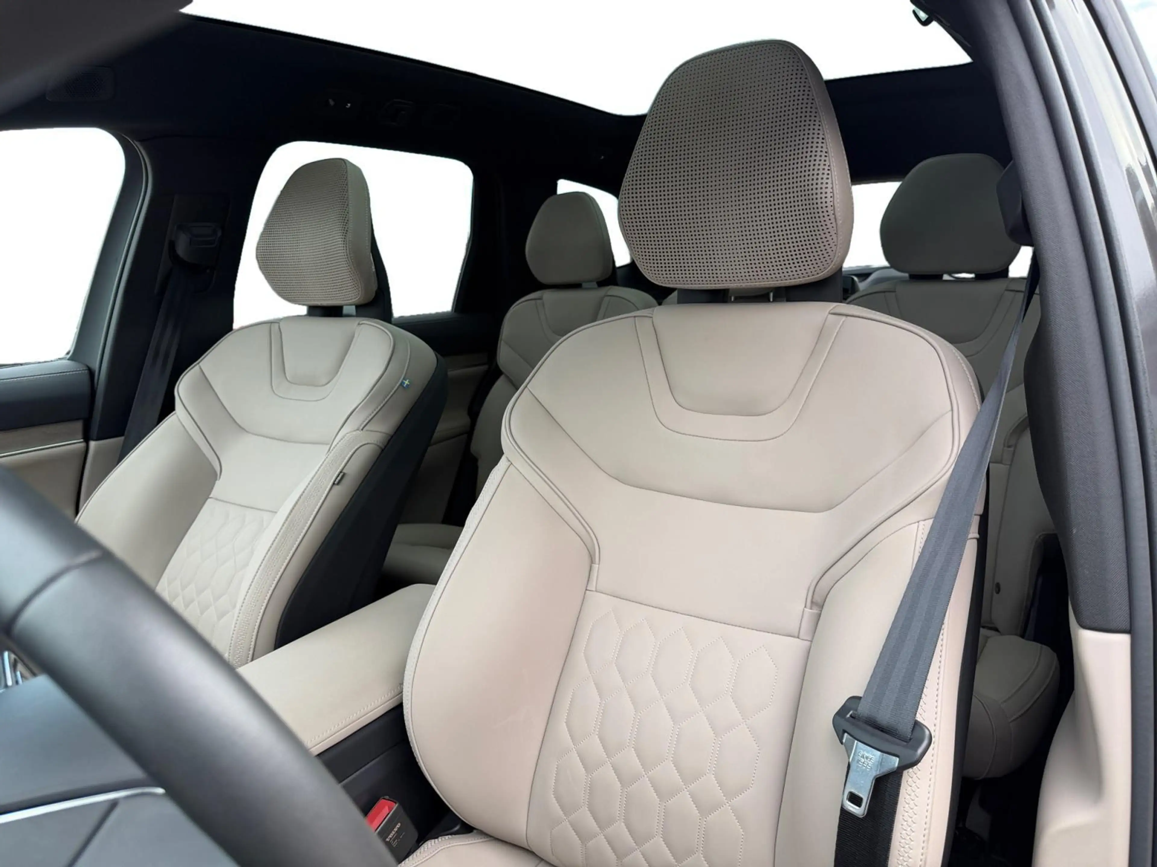 Volvo EX90 Twin Motor Performance Ultra 7p. 111 kWh Luchtveri — photo 13