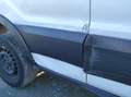 Ford Transit 350 L3 Trend *TÜV NEU* EURO-6 KLIMA ALLWETTER Blanc - thumbnail 20