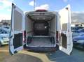 Ford Transit 350 L3 Trend *TÜV NEU* EURO-6 KLIMA ALLWETTER Blanc - thumbnail 14