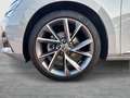 Skoda Superb Combi 1.4 iV SPORTLINE PANO STANDHZ. CAM Gris - thumbnail 7