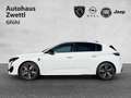 Peugeot 308 GT MHEV 145 e-DCS6 Weiß - thumbnail 3