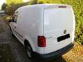 Volkswagen Caddy Kasten *Euro6//Klima//Regale//PDC* Wit - thumbnail 3