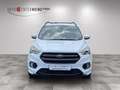 Ford Kuga ST-Line Blanc - thumbnail 2