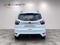 Ford Kuga ST-Line Blanc - thumbnail 6