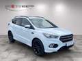 Ford Kuga ST-Line Blanc - thumbnail 3