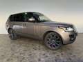 Land Rover Range Rover 4,4 SDV8 Vogue, Pano, 360°, ACC, Meridian, Braun - thumbnail 5