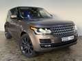 Land Rover Range Rover 4,4 SDV8 Vogue, Pano, 360°, ACC, Meridian, Braun - thumbnail 7