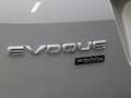 Land Rover Range Rover Evoque 1.5 P300e AWD SE MERIDIAN Sound ! Grijs - thumbnail 32