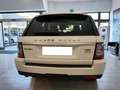 Land Rover Range Rover Sport 3.0 SDV6 HSE Aut. Pelle Navi Vetri Osc. Neopatent. Blanc - thumbnail 6