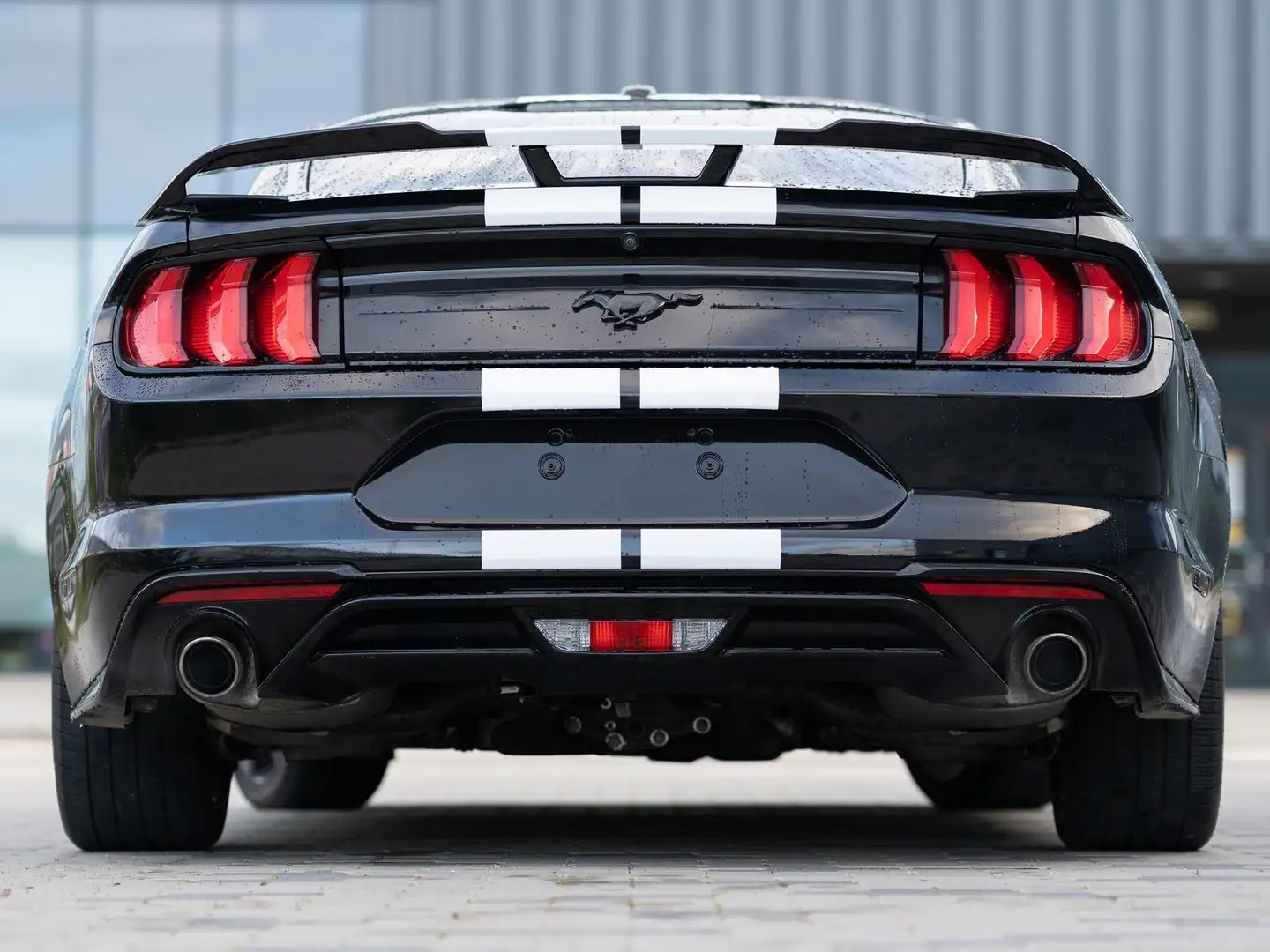 Ford Mustang 2.3 KIT SHELBY 500-PELLE BIANCA-NAVI-IVA ESPOSTA Сірий - 2