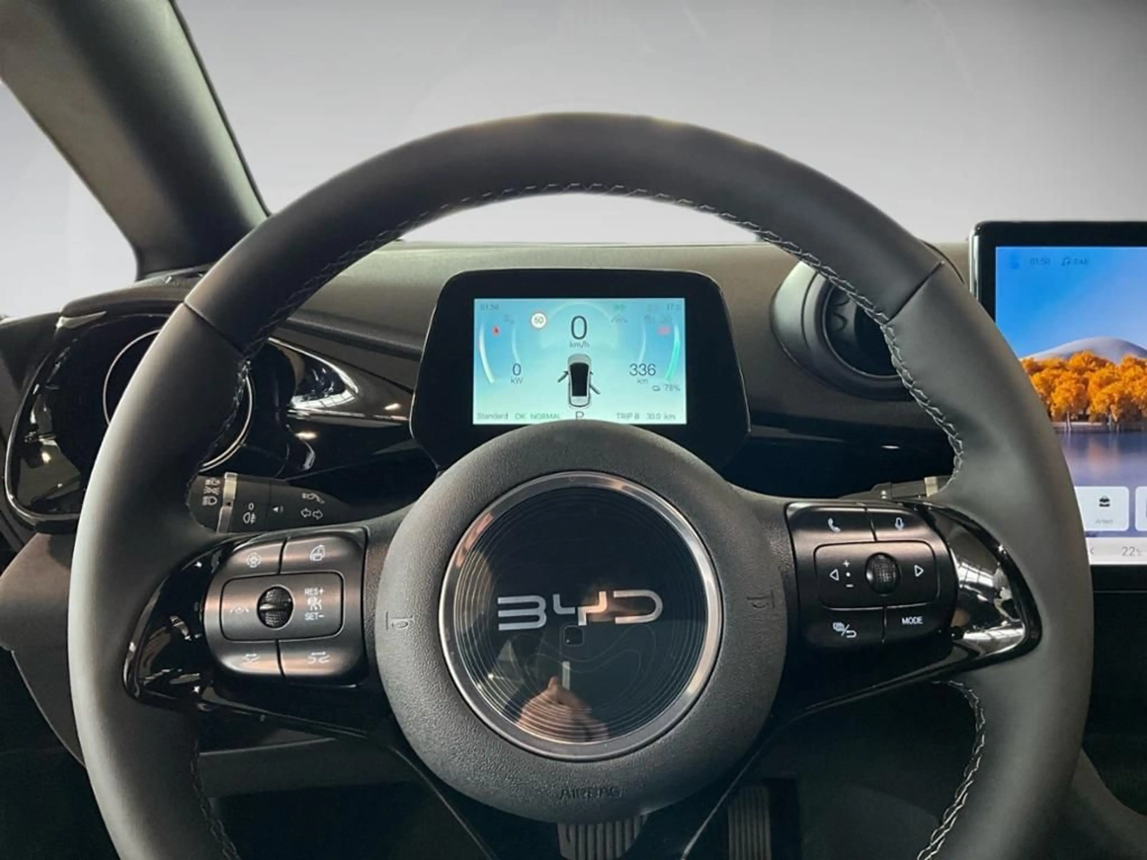 BYD Dolphin Comfort AUT SpurH — photo 12