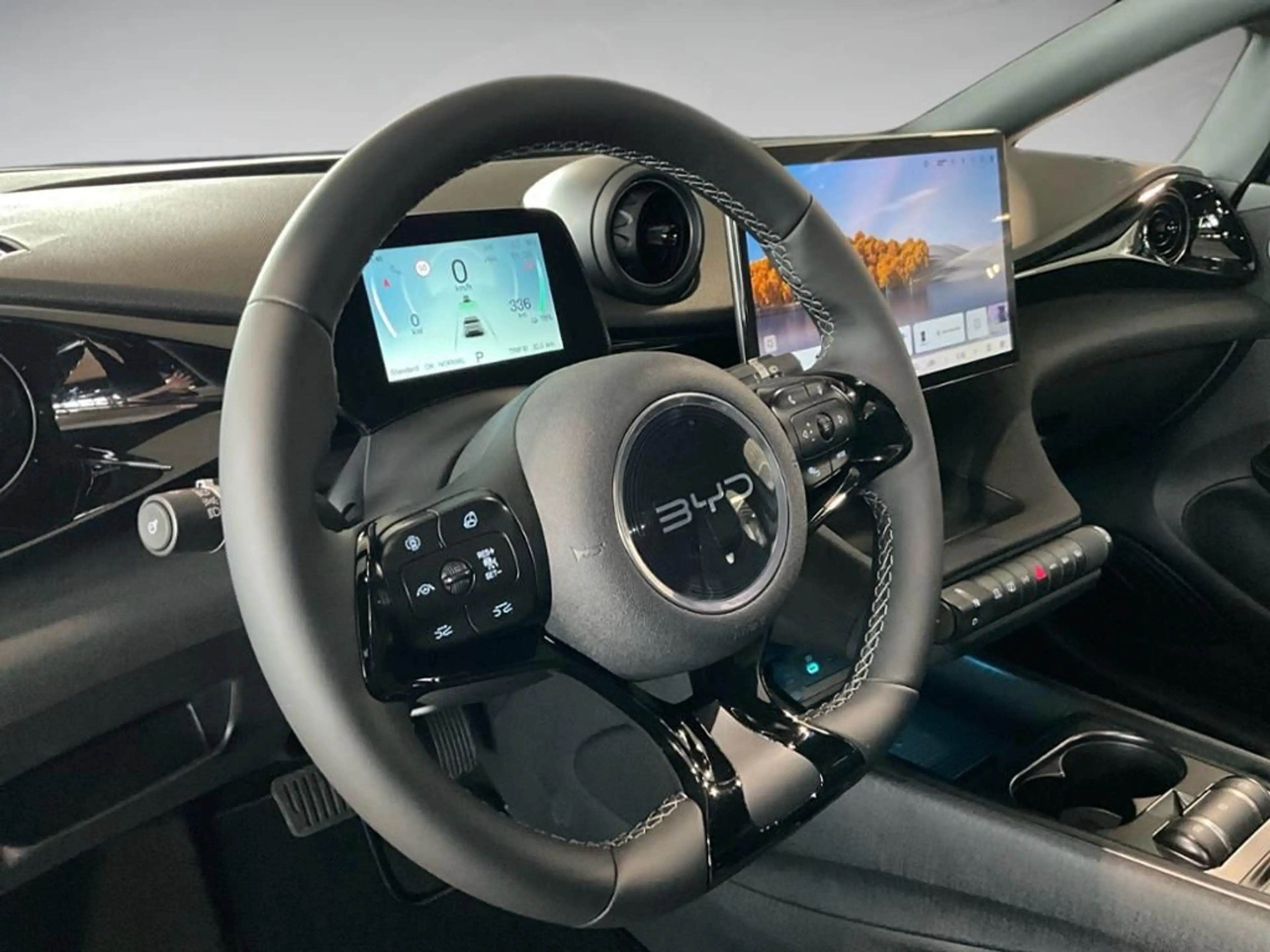 BYD Dolphin Comfort AUT SpurH — photo 9