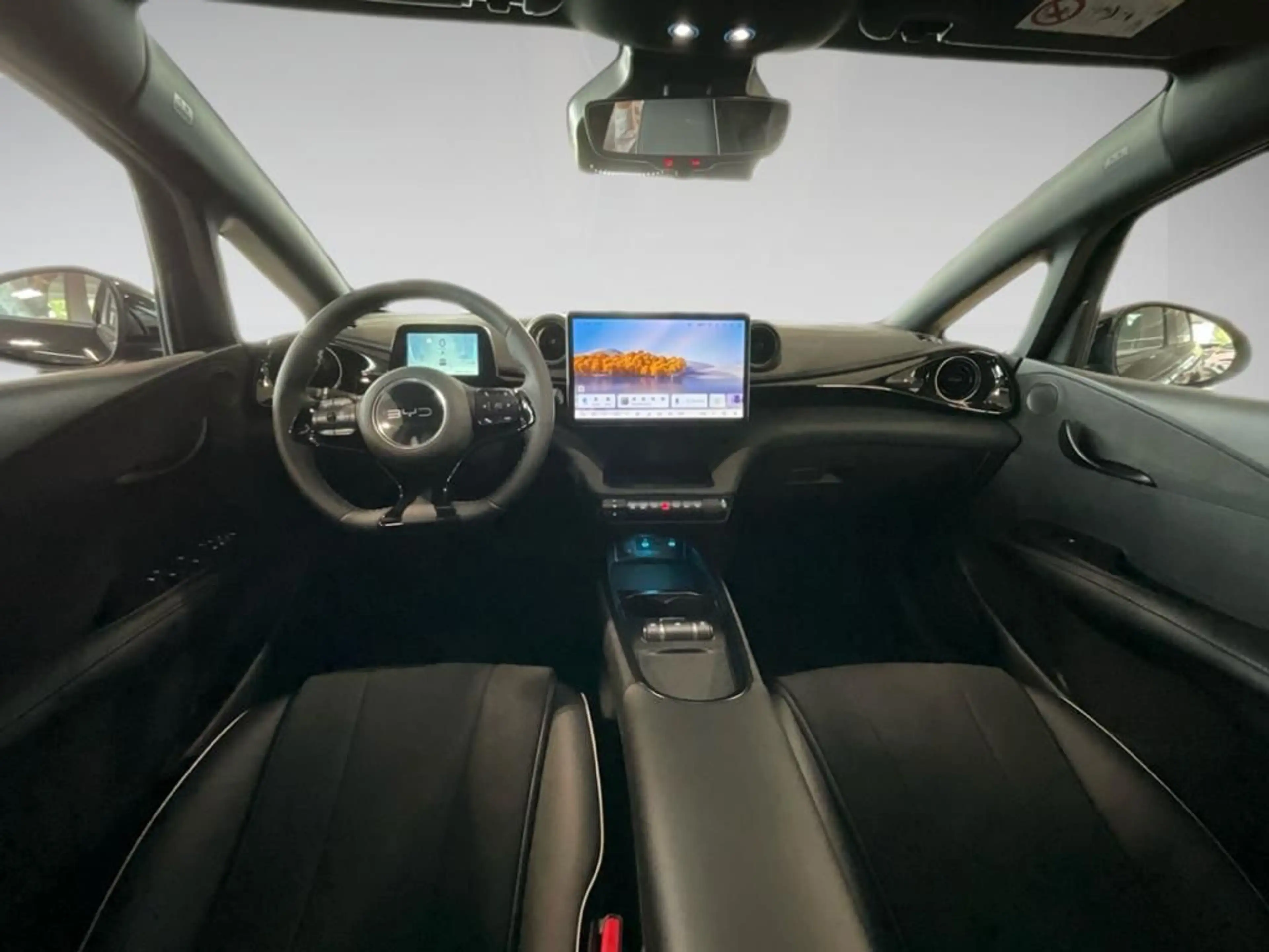 BYD Dolphin Comfort AUT SpurH — photo 10