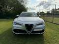 Alfa Romeo Stelvio Stelvio 2.2 Diesel 16V AT8 Q4 Super Zilver - thumbnail 11