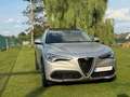 Alfa Romeo Stelvio Stelvio 2.2 Diesel 16V AT8 Q4 Super Zilver - thumbnail 1