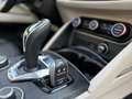 Alfa Romeo Stelvio Stelvio 2.2 Diesel 16V AT8 Q4 Super Zilver - thumbnail 26