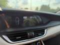 Alfa Romeo Stelvio Stelvio 2.2 Diesel 16V AT8 Q4 Super Zilver - thumbnail 25
