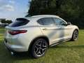 Alfa Romeo Stelvio Stelvio 2.2 Diesel 16V AT8 Q4 Super Zilver - thumbnail 7