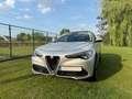 Alfa Romeo Stelvio Stelvio 2.2 Diesel 16V AT8 Q4 Super Zilver - thumbnail 3