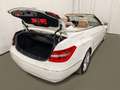 Mercedes-Benz E 220 CDI Aut. Cabrio, NAVI, LEDER, AIRSCARF Weiß - thumbnail 50