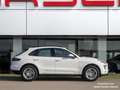 Porsche Macan S Diesel Aut. Blanco - thumbnail 7