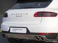 Porsche Macan S Diesel Aut. Blanco - thumbnail 16