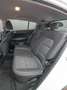 Kia Sportage 1.6 MHEV Business DCT 4x2 136 Blanc - thumbnail 17