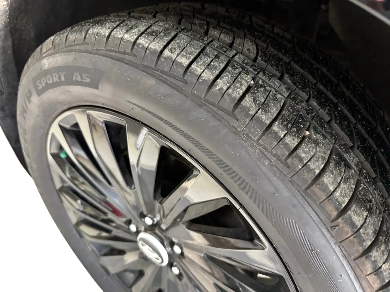 Hyundai PALISADE снимка Hyundai PALISADE
