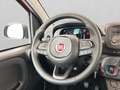 Fiat Panda 1.0 firefly hybrid s&s 70cv 5p.ti Rosso - thumbnail 11