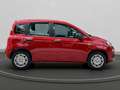 Fiat Panda 1.0 firefly hybrid s&s 70cv 5p.ti Rosso - thumbnail 5